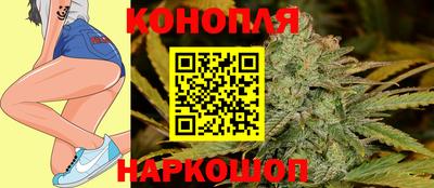 бошки Гатчина