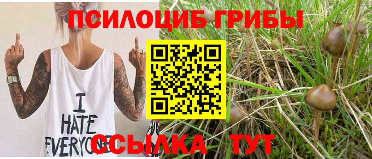 Псилоцибиновые грибы GOLDEN TEACHER  Вход с VPN  Белая Калитва 